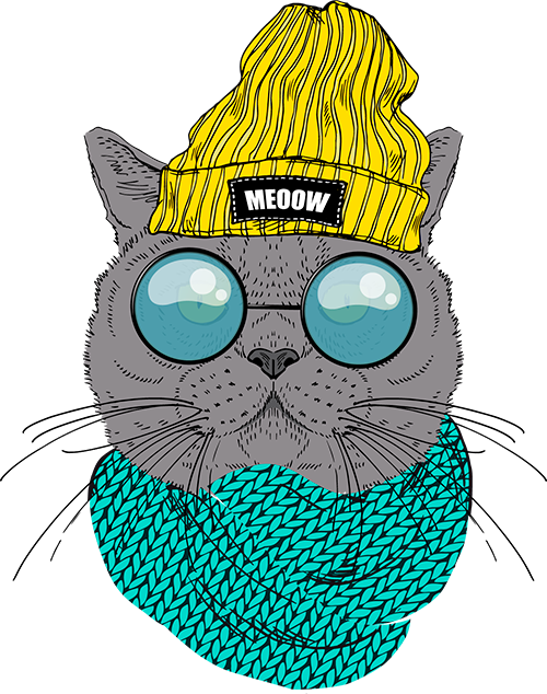 Swag cat