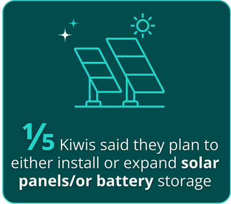 kiwis plan to install or expand solar battery